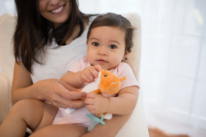 Dr. Brown's Lovey Tétine De Renard Et Support Pour Anneau De Dentition