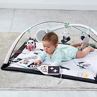 Tiny Love Developmental Activity Mat Gymini - Magical Tales Collection