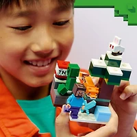 LEGO Minecraft L'Aventure de Steve dans la Taïga, Produit de Jeux Vidéo à Collectionner, Cadeau pour Joueur 21583