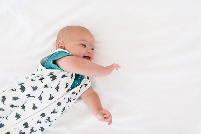 Copper Pearl Wild Sleep Bag 6-12 Months