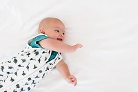 Copper Pearl Wild Sleep Bag 6-12 Months