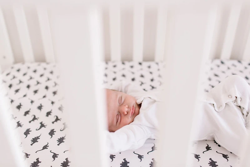 Copper Pearl Draps De Lit De Bébé Wild