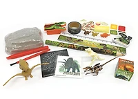 Dinosart - Advent calendar 24 days