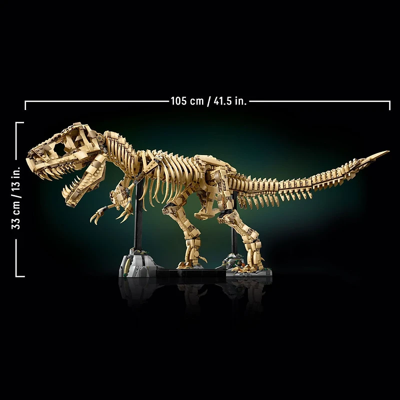 LEGO Jurassic World Les Fossiles de Dinosaures : le Tyrannosaurus Rex, Ensemble de Construction de Modèle Réduit, Modèle de Collection 76968