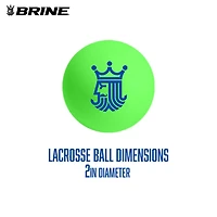 Ensemble Combiné Mini Lacrosse Nets Brine