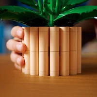 LEGO Botanicals La Fleur de Lune, Ensemble de Construction pour Adultes, Idée-Cadeau 11504