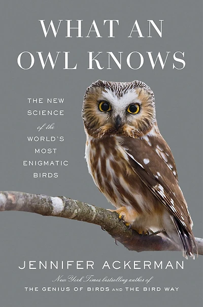What an Owl Knows - English Edition