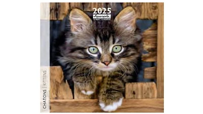 Chats 2025 - French Text