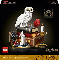 LEGO Harry Potter L'École des Sorciers - Édition de Collection - Ensemble de Construction à Exposer 76466