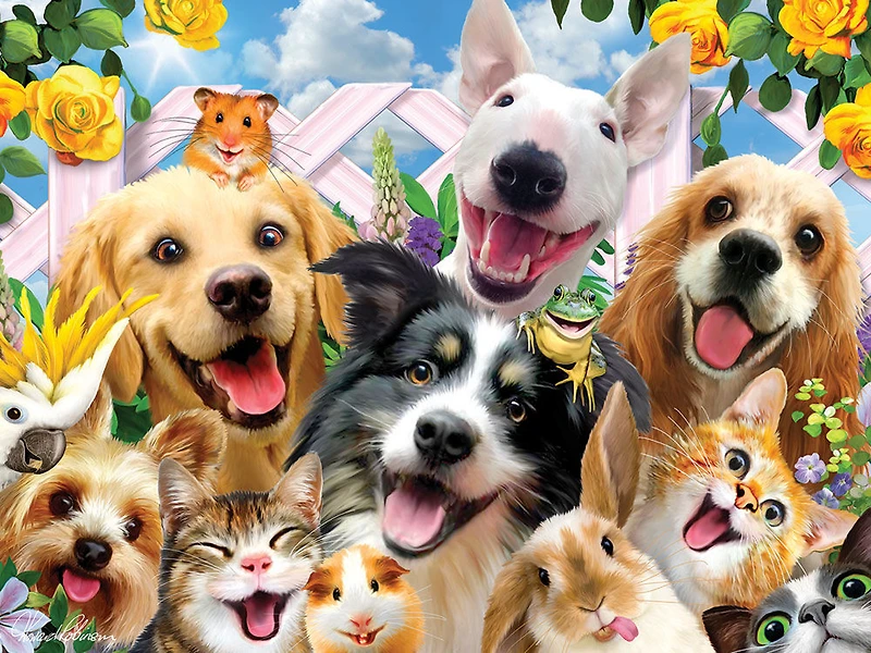 Howard Robinson - Animal Selfies 48-63 pièces - Casse-tête Super 3D