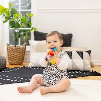 Baby Einstein Shake-a-Shape Zen Teether Toy