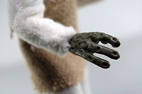 Mego Figurines Sci Fi - Star Trek Salt Vampire - English Edition