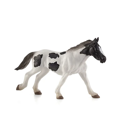 ALEX - Tinker Yearling - Large