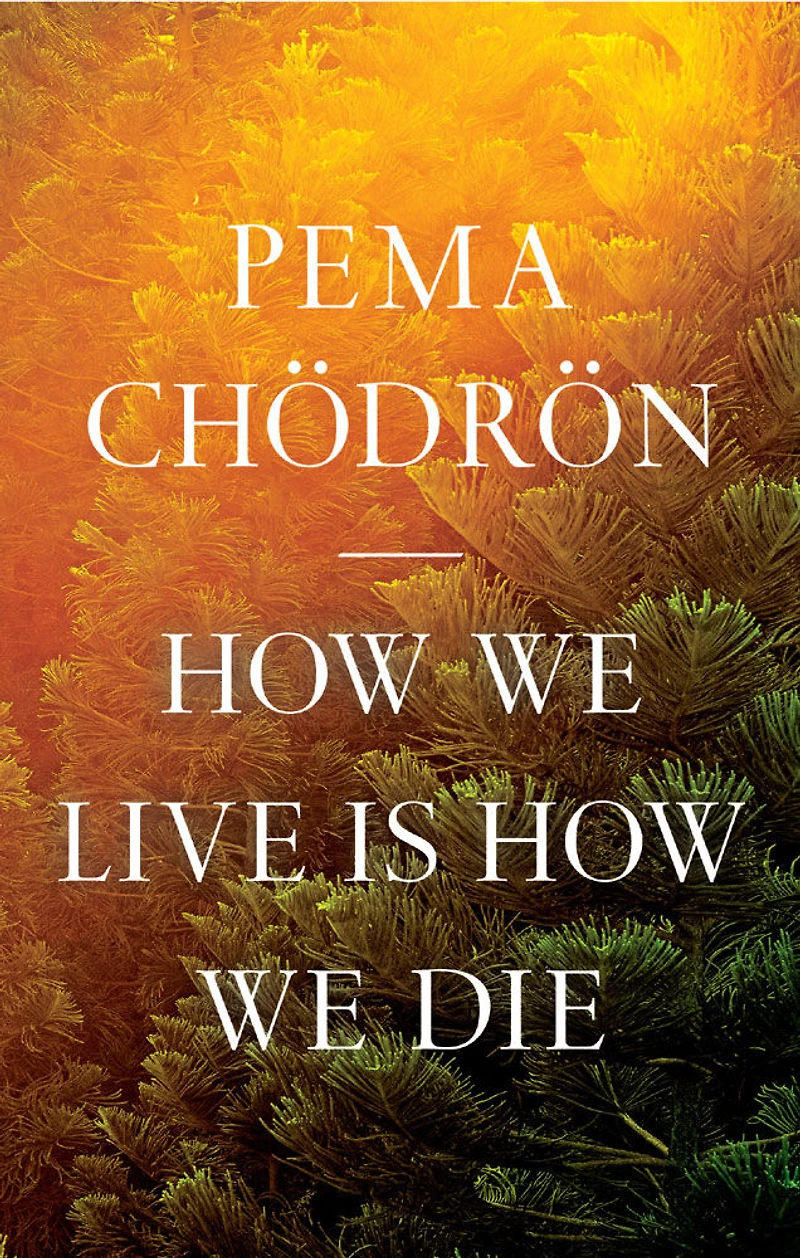 How We Live Is How We Die - Édition anglaise