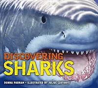 Discovering Sharks - Édition anglaise