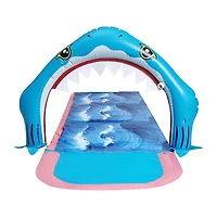 Danaplay Toboggan aquatique requin de 10 pieds