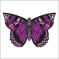 Cerf-volant papillon