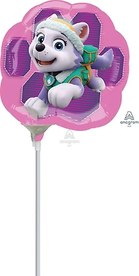 Minishape Paw Patrol Skye and Everest