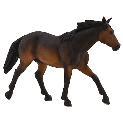 ALEX - Quarter Horse Sooty Bay - Très Grand