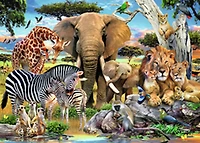 Ravensburger - Amour de Bébé