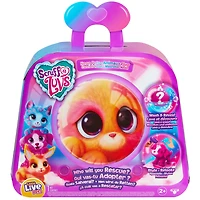 Little Live Scruff-A-Luvs Neon Pets Single Pk