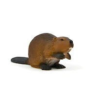 ALEX - Castor - Petit