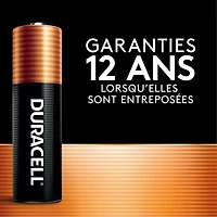 Duracell - Coppertop AA Alkaline Batteries