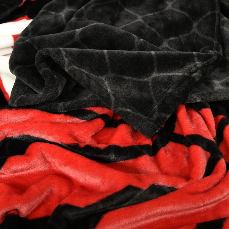 Couverture d'arène NBA Toronto Raptors