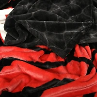 Couverture d'arène NBA Toronto Raptors