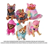 Real Littles Cutie Carries (Un Exemplaire Sélectionné Au Hasard Pour Les Achats En Ligne)