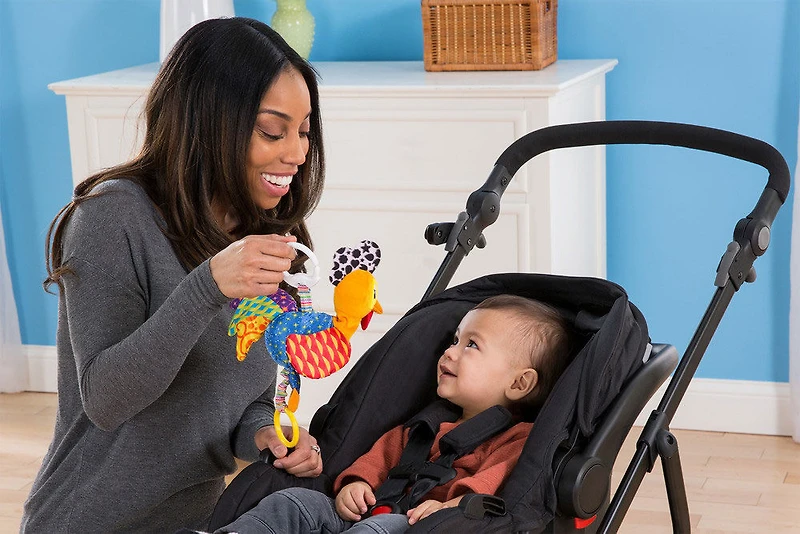 Bob de la basse-cour de Lamaze