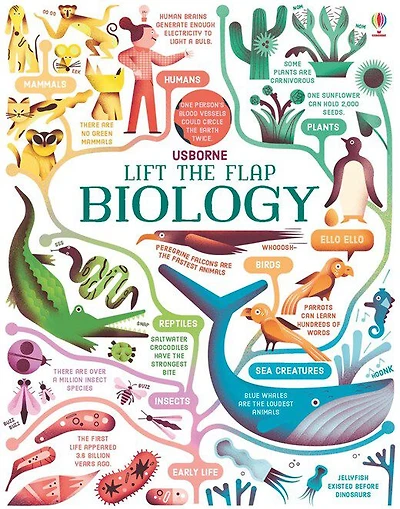 Lift-The-Flap: Biology - Édition anglaise