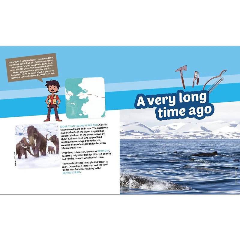 Discovering and Understanding The Cree - English Edition