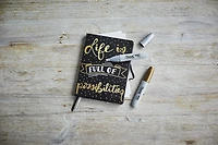 Marqueurs permanents à pointe biseautée or et argent de Sharpie