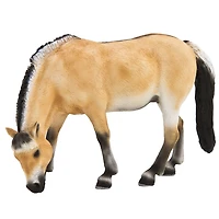 ALEX - Fjord Jument - Très Grand