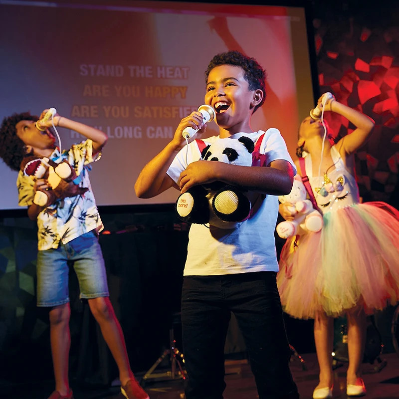 Singing Machine - Plush Sing Along - Big Pand - Édition anglaise