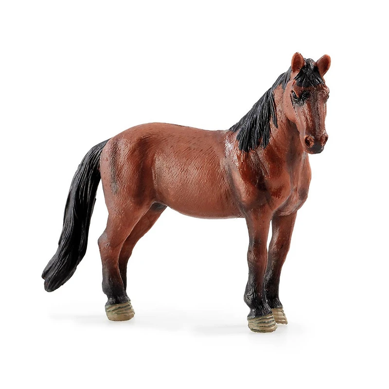 E-EX-AWESOME ANIMALS FARM ASST