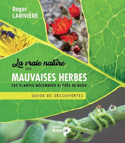 Vraie nature des mauvaises herbes
