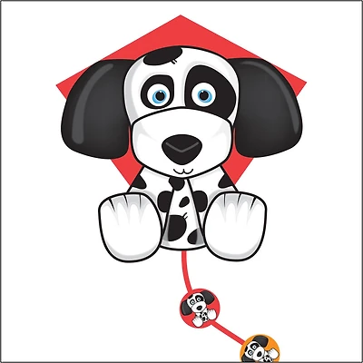 Cerf-volant SkyDelight