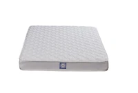 Matelas Double Essentiel 6 po de Signature Sleep