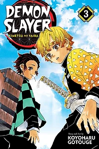 Demon Slayer: Kimetsu No Yaiba, Vol. 3 - Édition anglaise