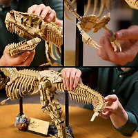 LEGO Jurassic World Les Fossiles de Dinosaures : le Tyrannosaurus Rex, Ensemble de Construction de Modèle Réduit, Modèle de Collection 76968