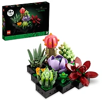 LEGO Botanicals Les succulentes; plantes d'intérieur, cactus, aloe vera, echeveria 10309
