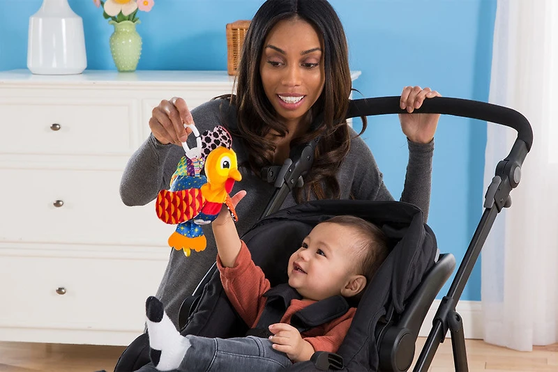 Bob de la basse-cour de Lamaze