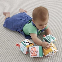 Fisher-Price - Cubes douceur amusants, reliés, activités sensorielles