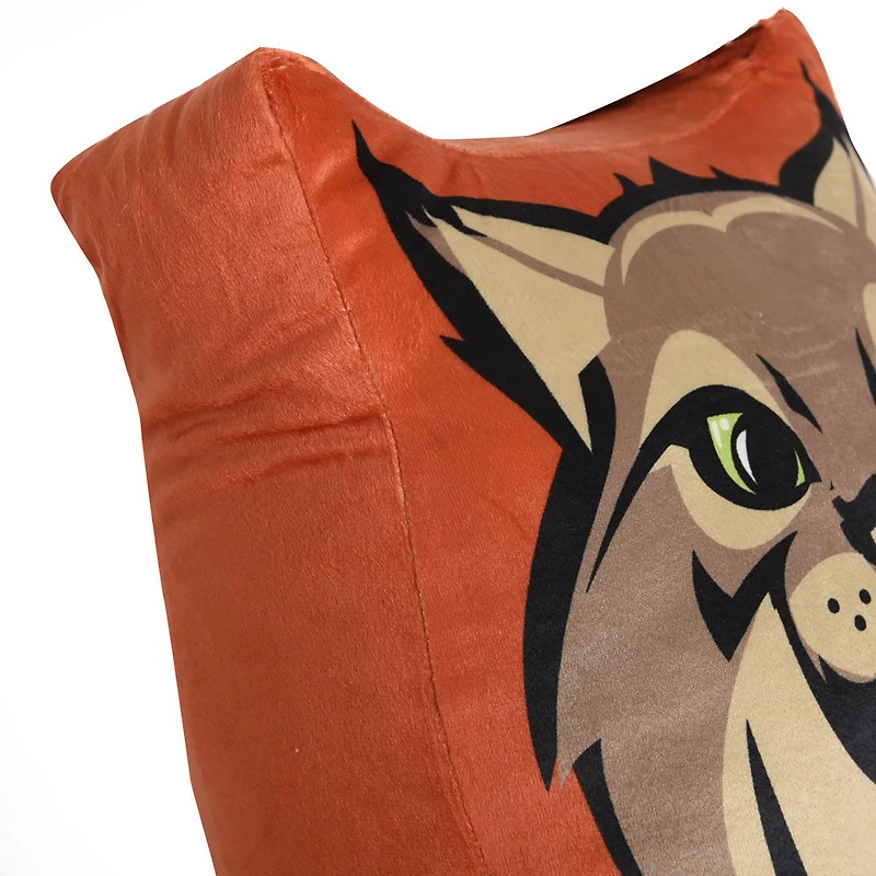 NHL Edmonton Oilers Mascot Pillow, 20" x 22"