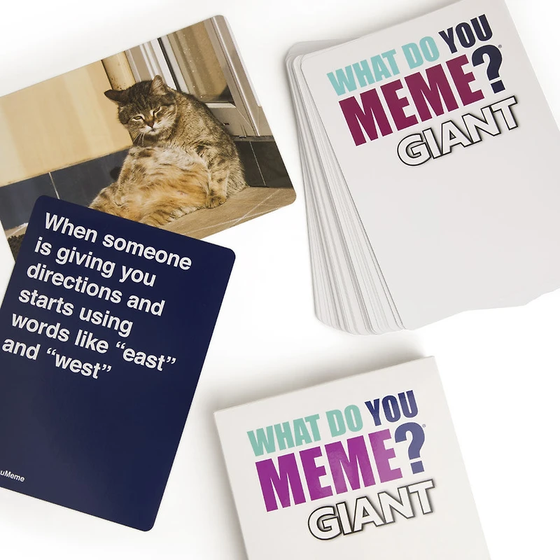 What Do You Meme? Giant Edition - English Edition
