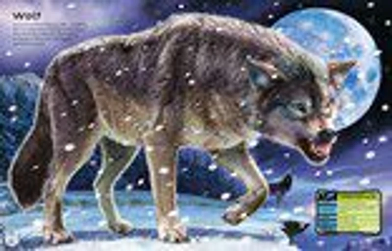 Build Your Own Deadly Animals and Sea Creatures Sticker Book - English Edition