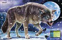 Build Your Own Deadly Animals and Sea Creatures Sticker Book - English Edition