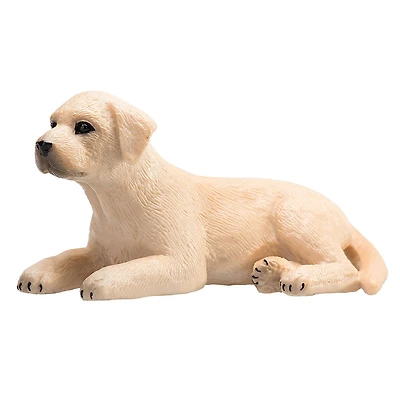 ALEX - Labrador Chiot - Petit